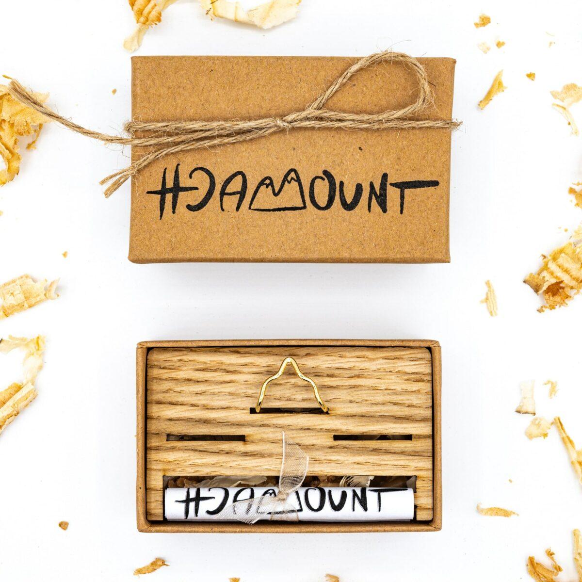 Hoamount Ring Panorama △ gold